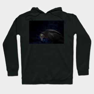 the terrible red-eyed vulture Hoodie